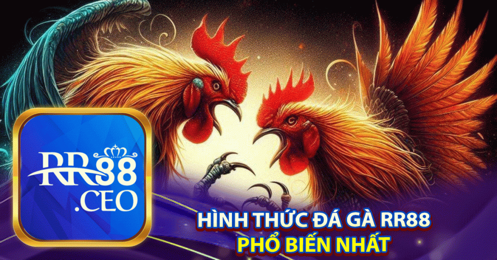 hình thức đá gà rr88 
phổ biến nhất